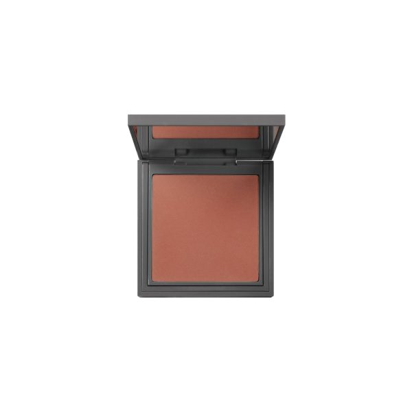 Powder Blush – 113 Dust Terracotta